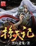 掠天记